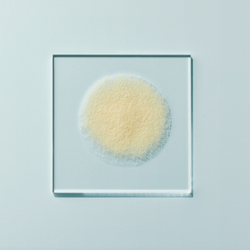 HN019 Powder